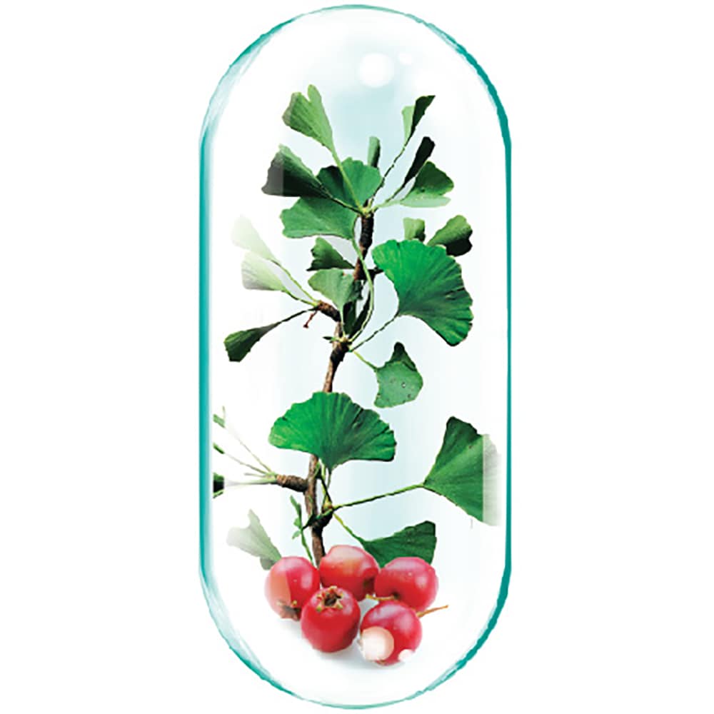 Supliment alimentar Gingko Extract 60mg, 90 capsule, ROTTA NATURA