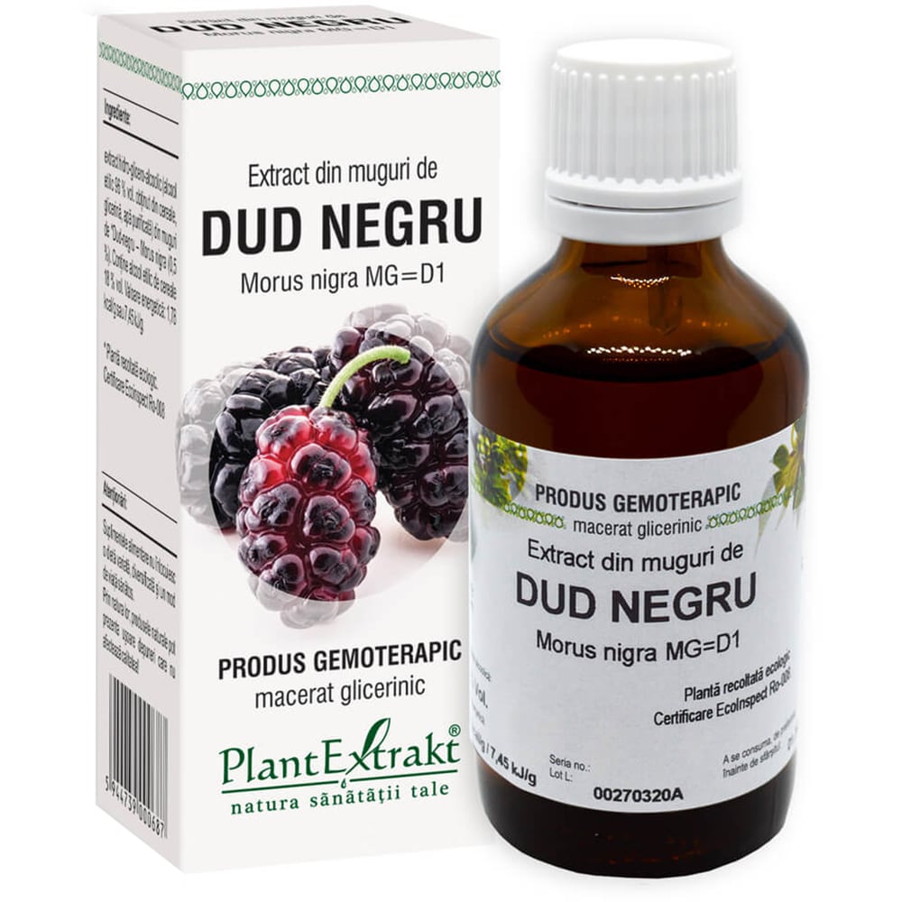 Extract din Muguri de Dud, 50 ml, PLANTEXTRAKT