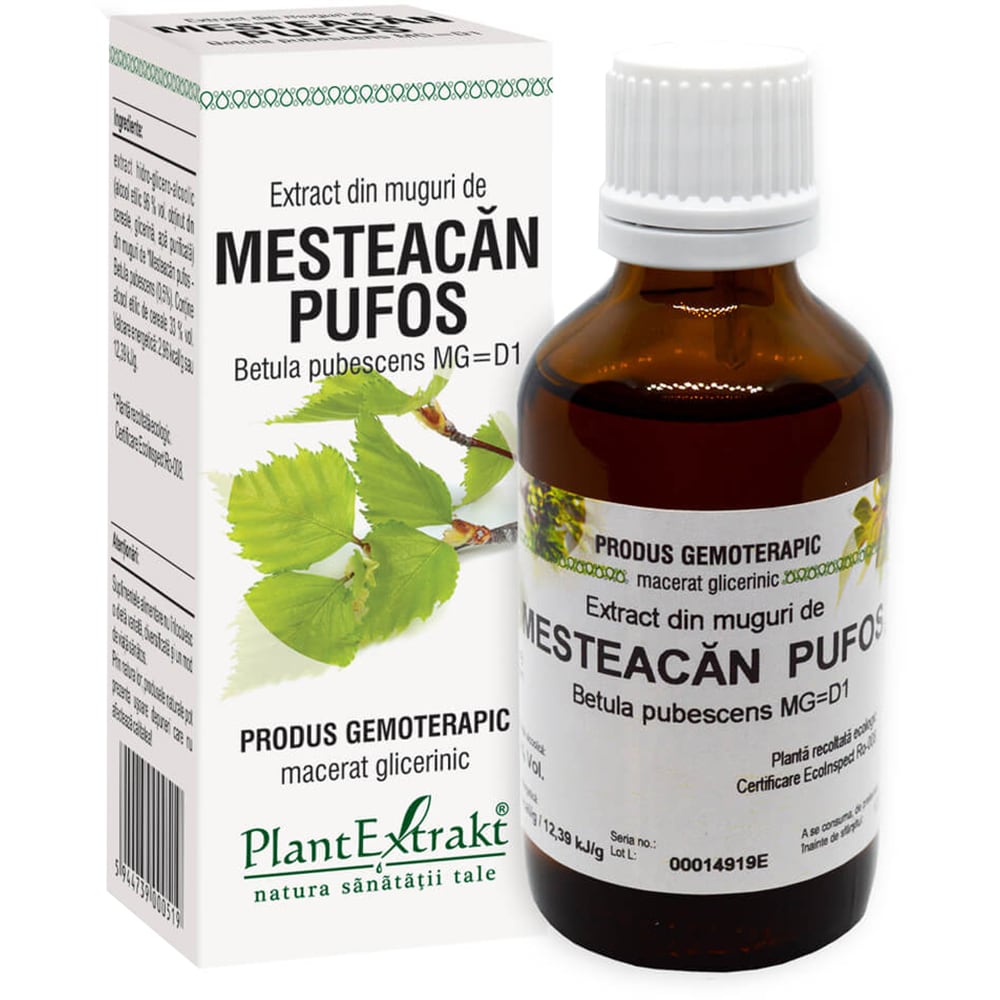 Extract din Muguri de Mesteacan Pufos, 50 ml , PLANTEXTRAKT