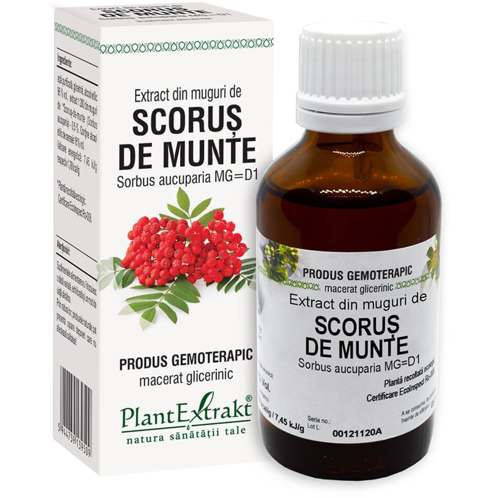 Extract din Muguri Scorus de Munte, 50 ml, PLANTEXTRAKT