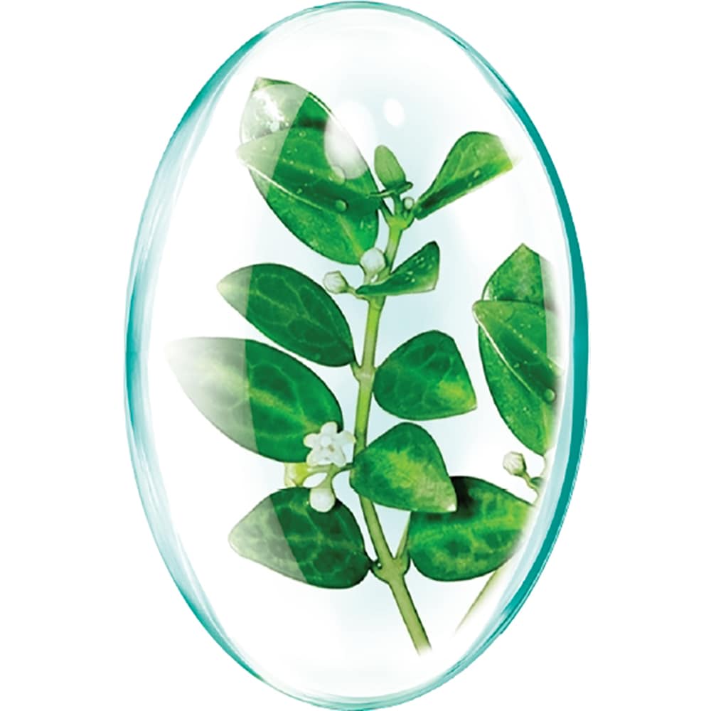 Supliment alimentar Gymnema Extract, 30 capsule, ROTTA NATURA