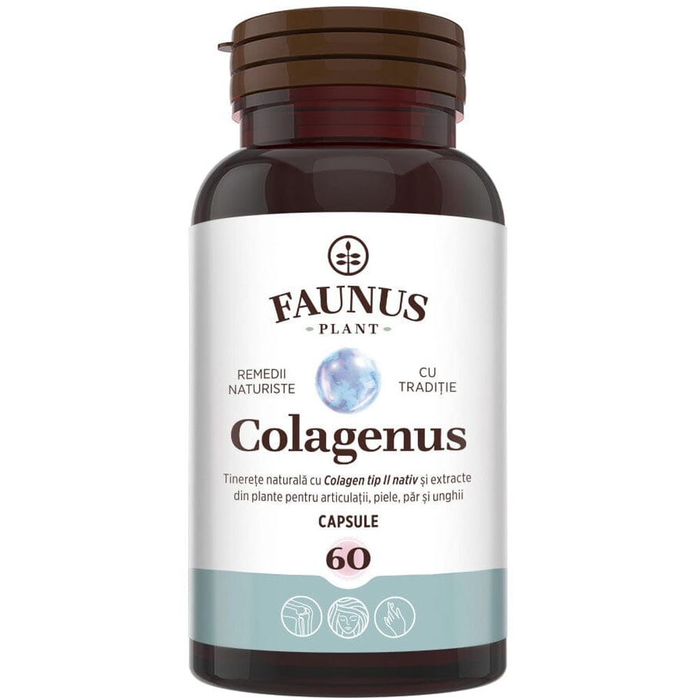 Colagenus - Colagen concentrat tip II, acid hialuronic si plante medicinale, 60 capsule, FAUNUS PLANT