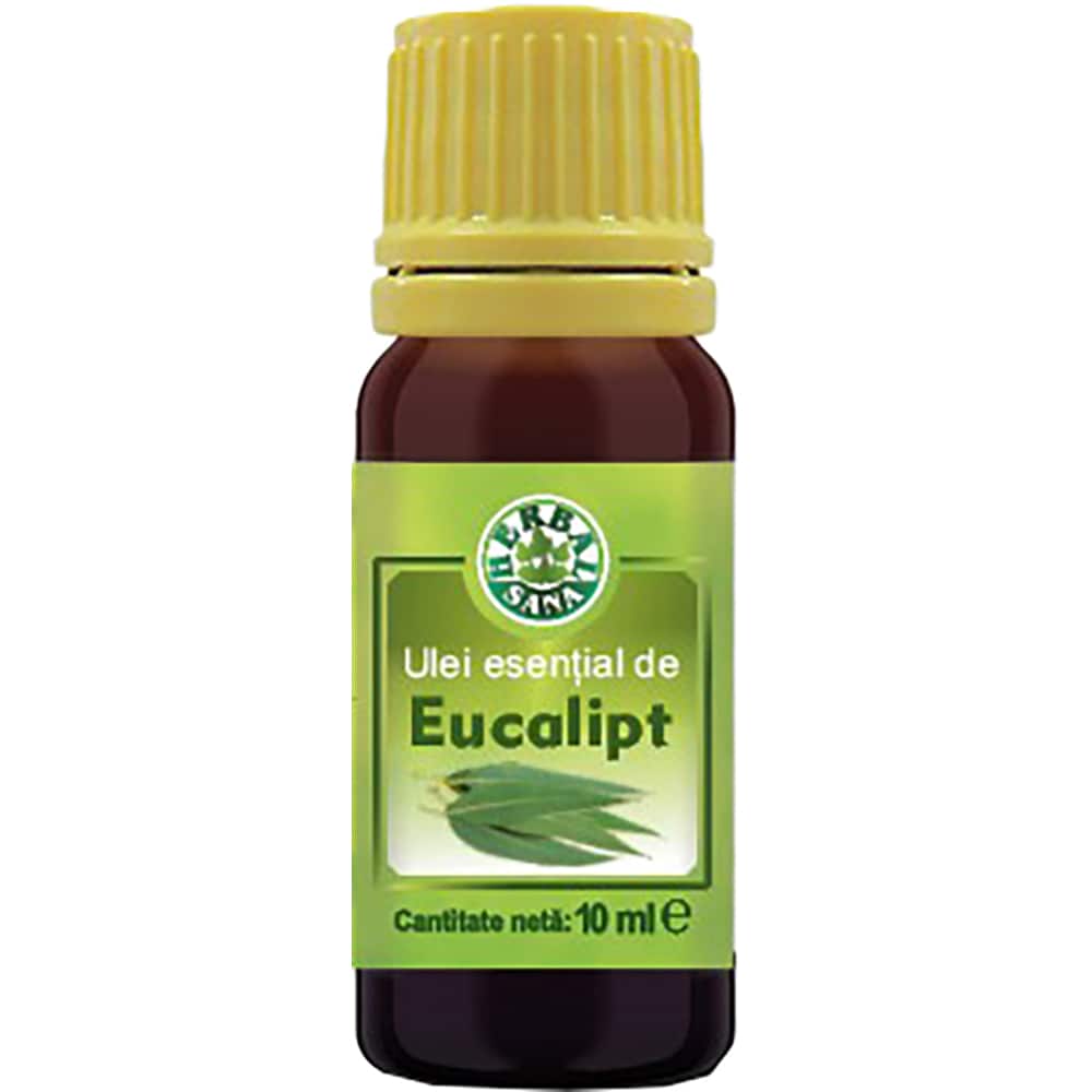 Ulei esential de Eucalipt, 10 ml, HERBAVIT