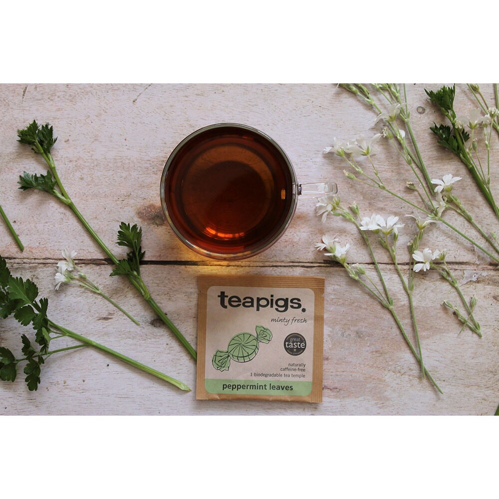 Ceai infuzie TEAPIGS Menta, 15 buc, 30g