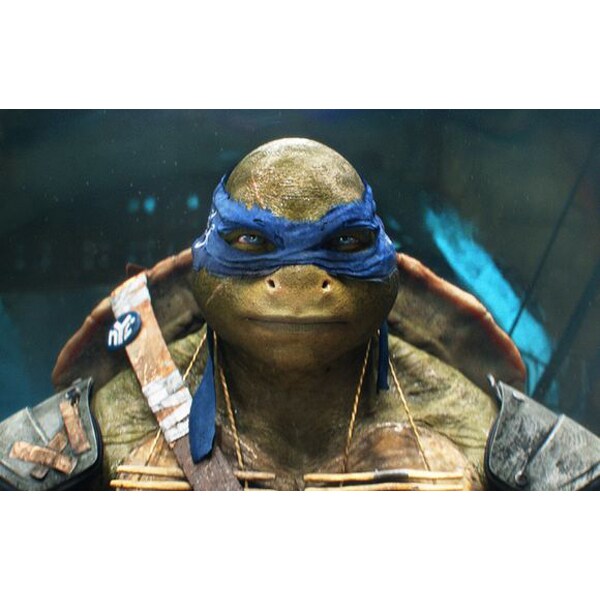 Teenage Mutant Ninja Turtles Blu-ray 3D + 2D