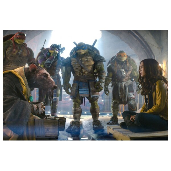 Testoasele Ninja 2 DVD