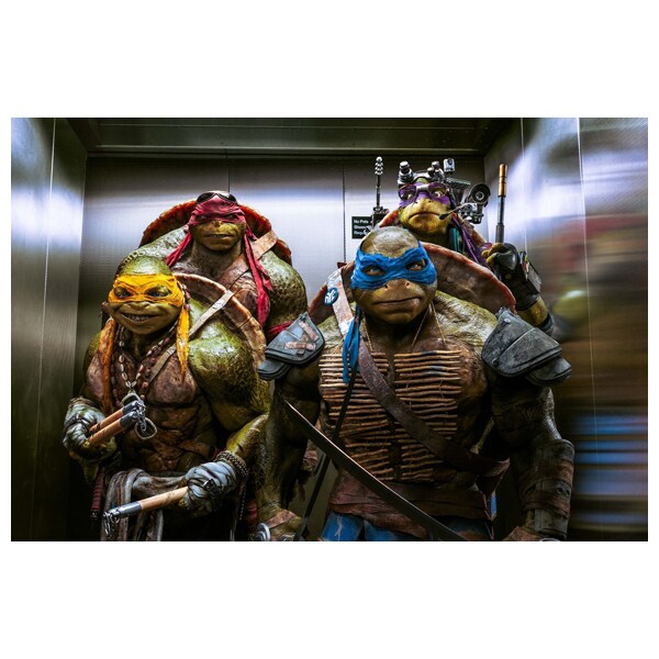 Testoasele Ninja 2 DVD