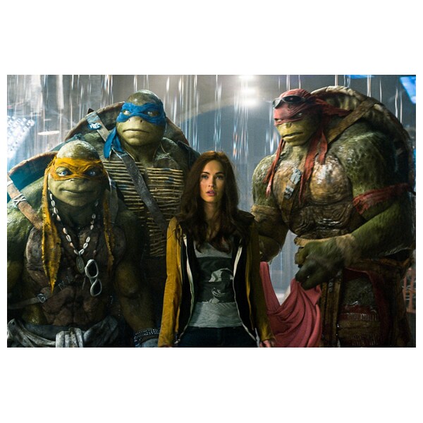 Testoasele Ninja 2 DVD