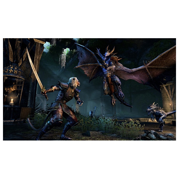 The Elder Scrolls Online: Gold Edition PS4