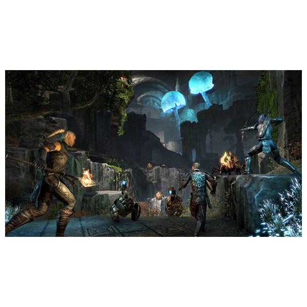 The Elder Scrolls Online: Gold Edition PS4