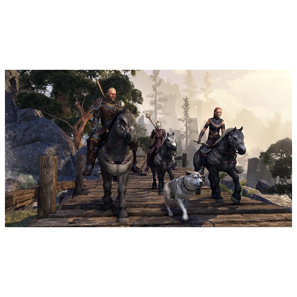 The Elder Scrolls Online: Gold Edition PS4