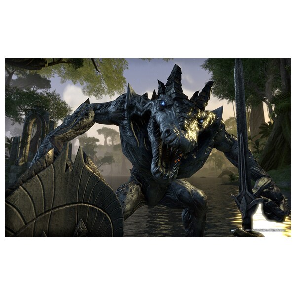 The Elder Scrolls Online: Gold Edition PS4