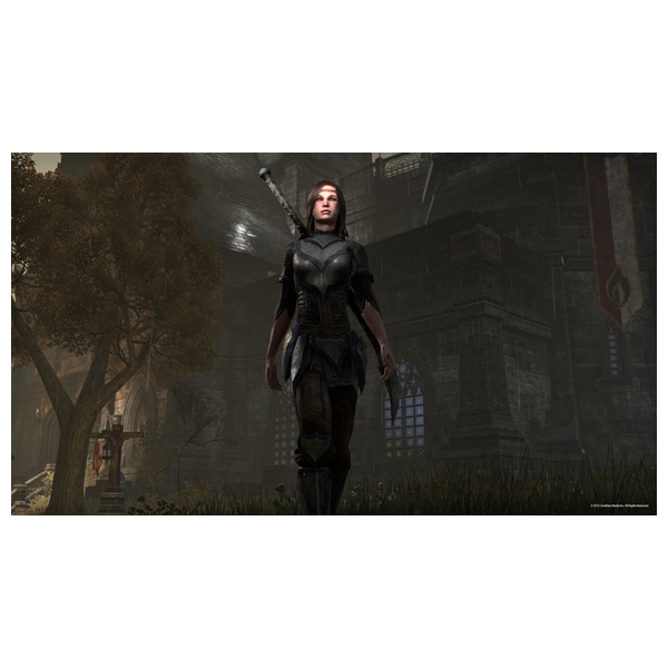 The Elder Scrolls Online: Gold Edition PS4