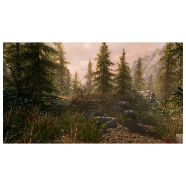 The Elder Scrolls V: Skyrim Special Edition Xbox One