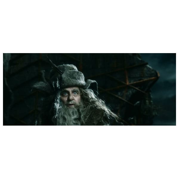 Hobbitul 3: Batalia celor cinci ostiri Blu-ray 3D Steelbook