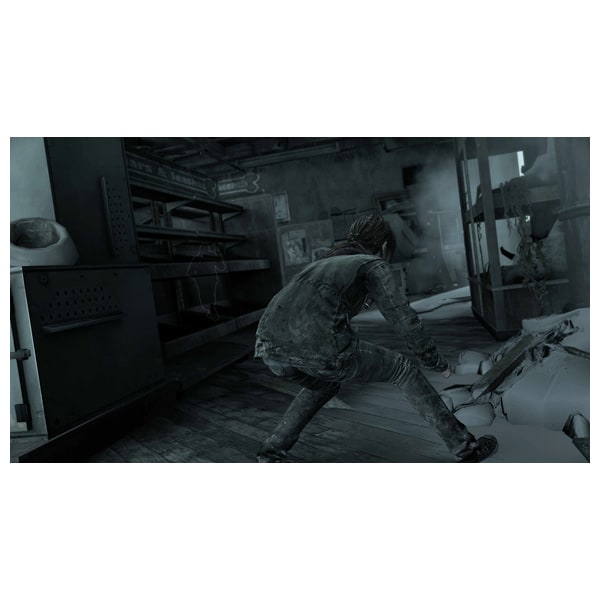 Joc The Last of Us: Remastered PlayStation Hits PS4