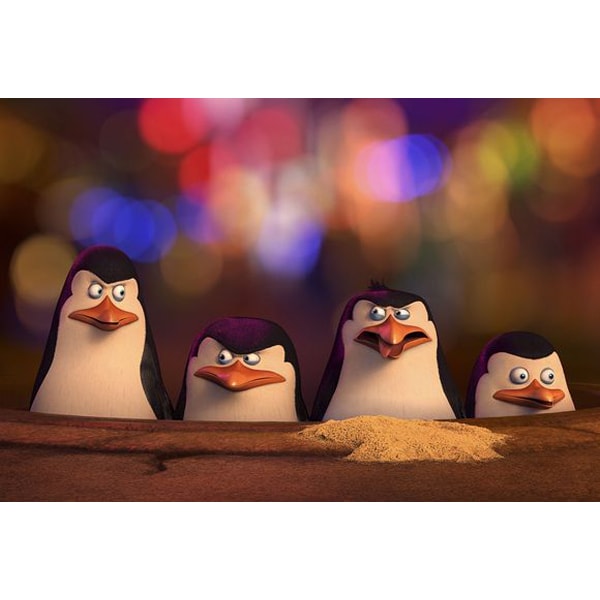 Pinguinii din Madagascar DVD