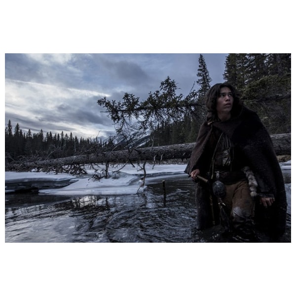 The Revenant - Legenda lui Hugh Glass DVD