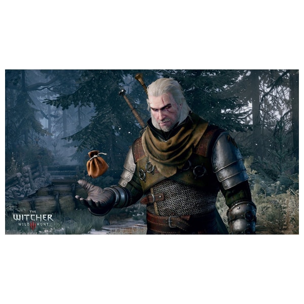 The Witcher 3 - Wild Hunt PS4