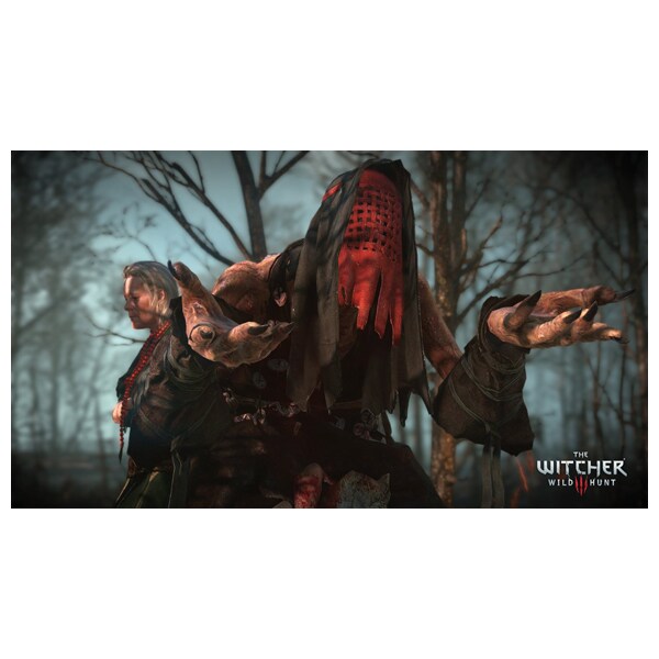 The Witcher 3 - Wild Hunt PC