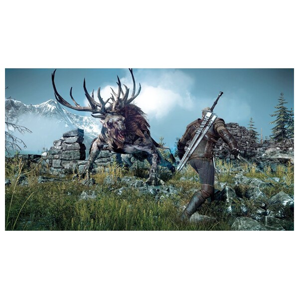 The Witcher 3 - Wild Hunt PC