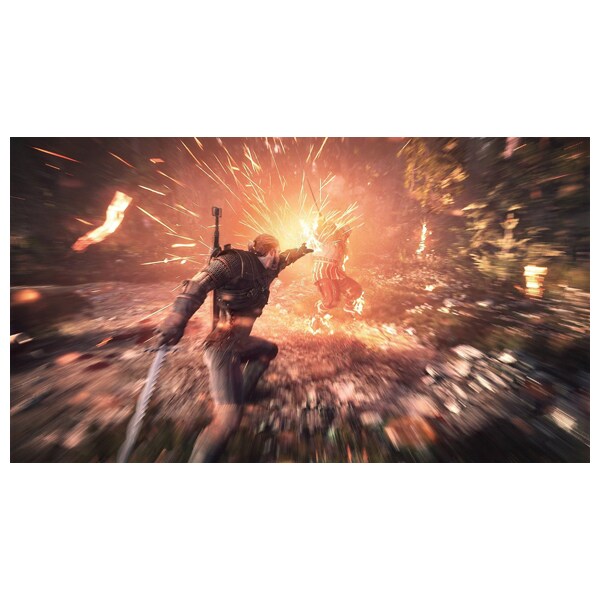 The Witcher 3 - Wild Hunt PC