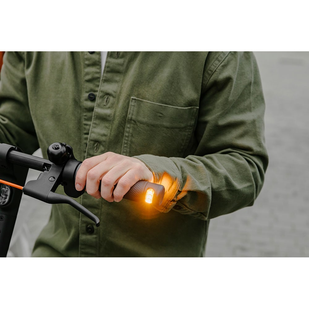 Trotineta electrica NINEBOT KickScooter F2 Pro, 10 inch, negru