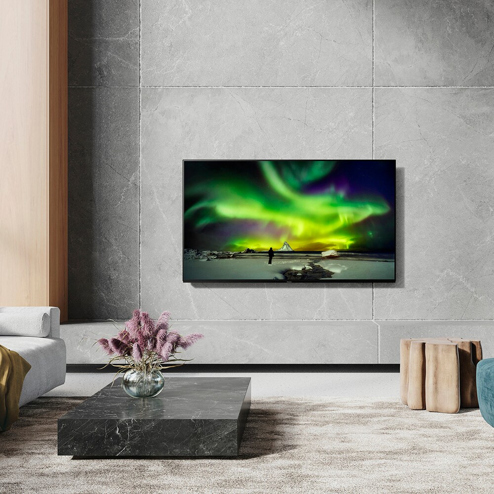 Televizor OLED Smart PANASONIC TX-55LZ1000E, Ultra HD 4K, 139cm