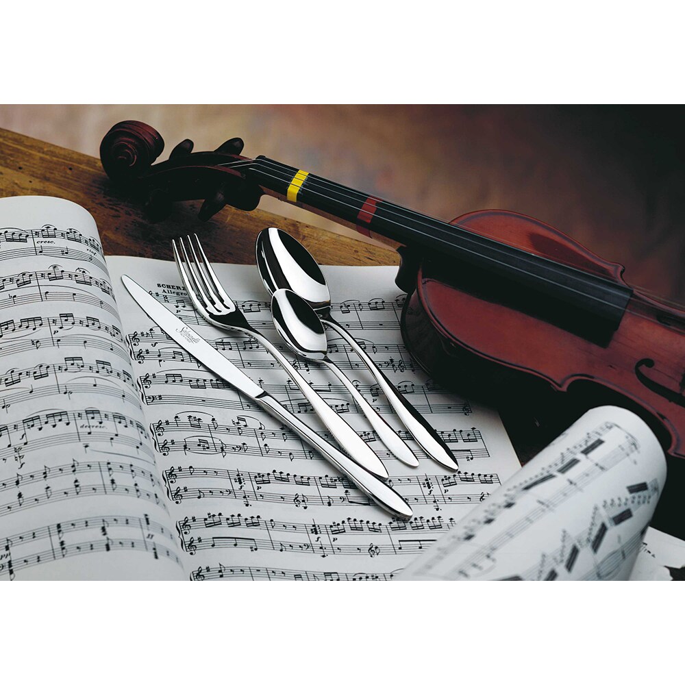 Set tacamuri SALVINELLI Galileo, 24 piese, inox