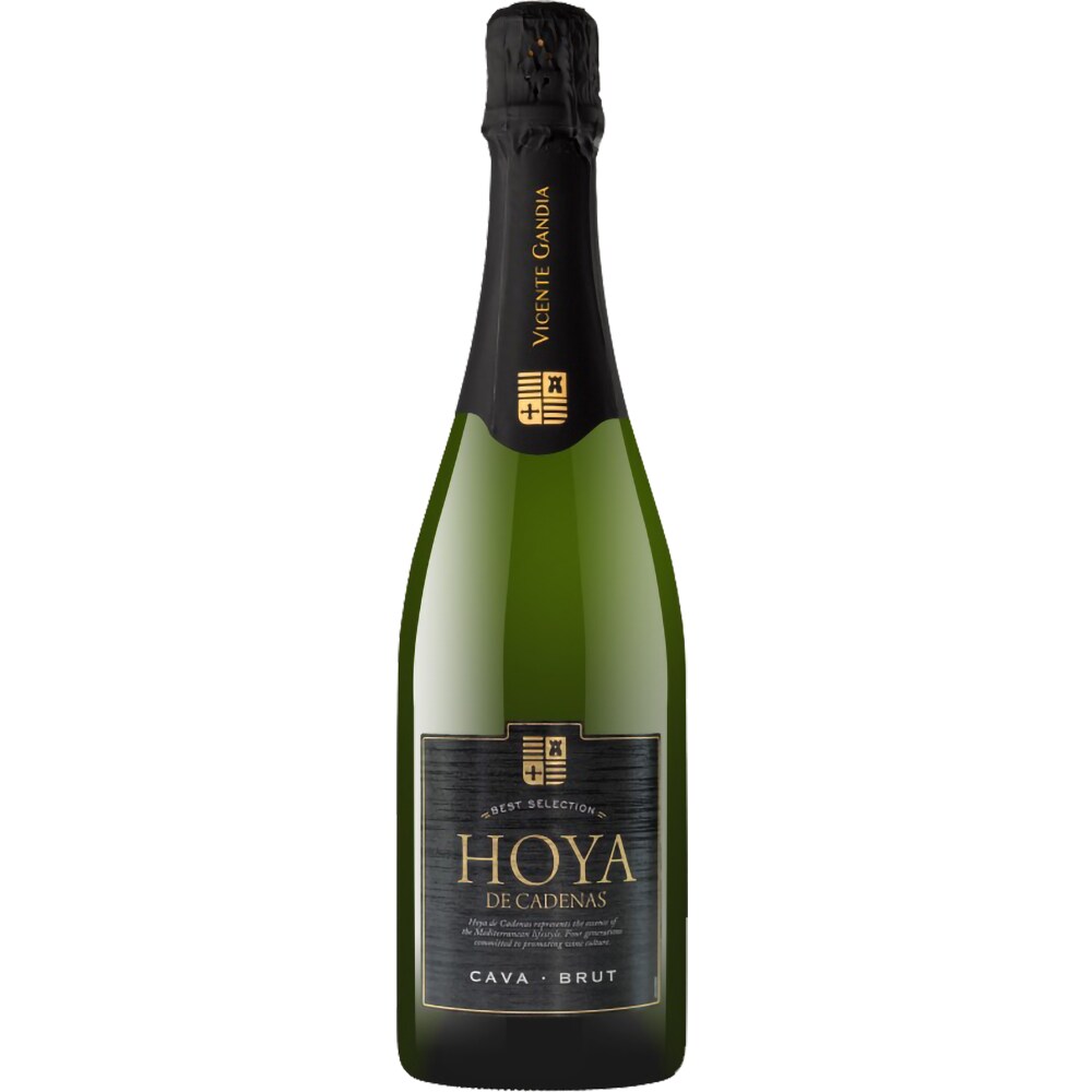 Vin spumant alb Cava Hoya de Cadenas Brut, 0.75L