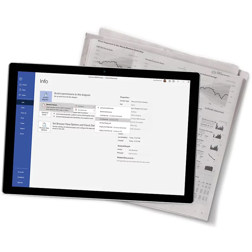 Microsoft Visio Standard 2024, Toate limbile, 1 PC, ESD