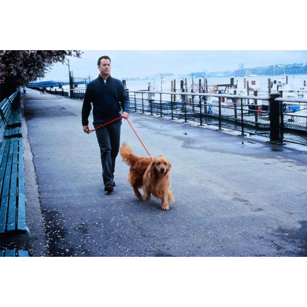 Mesaj pentru tine DVD