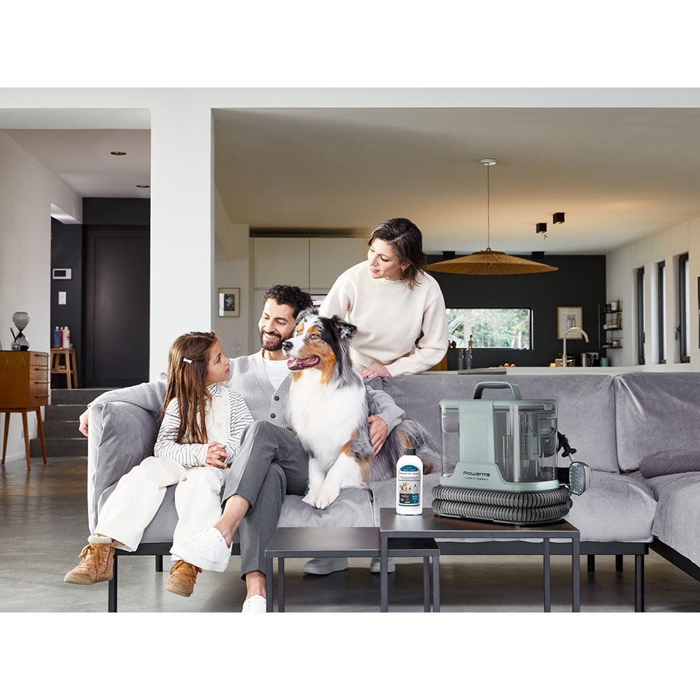 Aspirator cu spalare ROWENTA Clean It IN3020F0, 1.4l, 400W, verde-argintiu