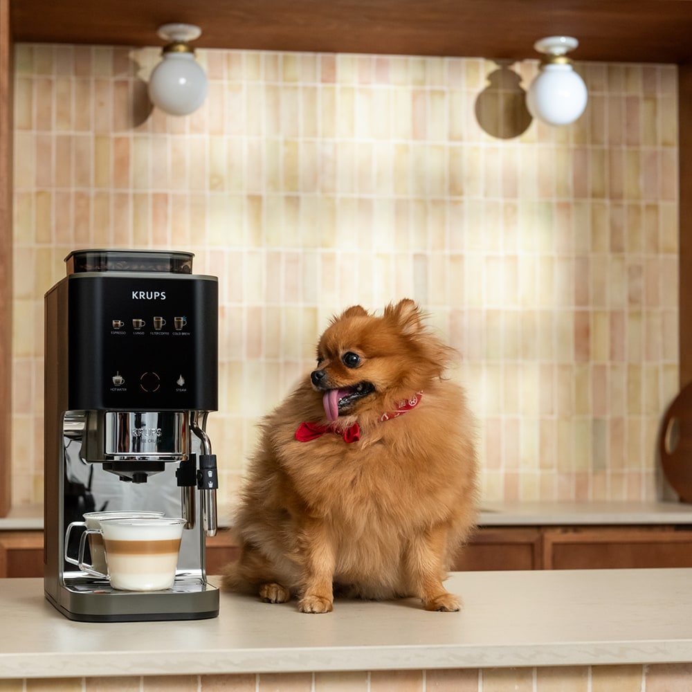 Espressor semi-automat KRUPS Coffee Crush Experience SA403BE0, 1.8l, 1350W, 15 bar, bej-negru