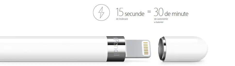 アップル(Apple) MQLY3J/A Apple Pencil（第1世代）アダプタ同梱 | ヤマダウェブコム