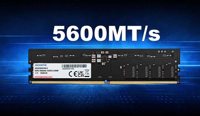 Memorie desktop ADATA, 8GB DDR5, 5600MHz, CL46, AD5U56008G-S