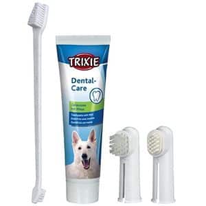 Produse igiena dentara