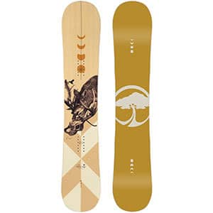 Placi snowboard