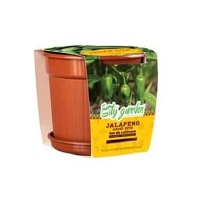 Set de cultivare Jalapeno ardei iute  Yurta