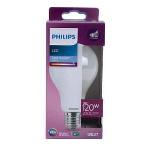 Bec LED, clasic, E27, 13 W, A67 Philips