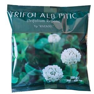 Trifoi alb pitic, tip rivendel, 0.5 kg