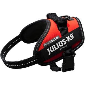 Ham caini JULIUS K-9 IDC Power, marimea XS, rosu