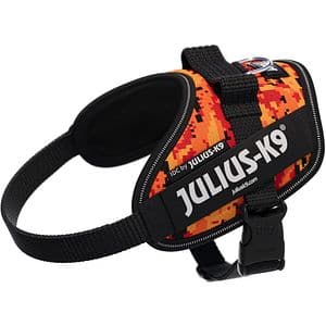Ham caini JULIUS K-9 IDC Power PixelJuice, marimea XS, multicolor