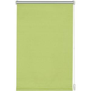 Rulou GARDINIA, opac, poliester, 75 x 150 cm, verde