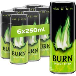 Bautura energizanta BURN Apple Kiwi bax 0.25L x 6 doze