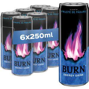 Bautura energizanta BURN Fruit Punch bax 0.25L x 6 doze