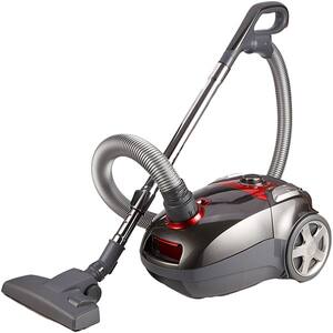 Aspiratoare Cu Sac Putere W 700 1000