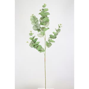 Planta artificiala, eucalipt, verde, H 88 cm