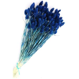 Buchet plante naturale, phalaris, albastru, H 40 cm
