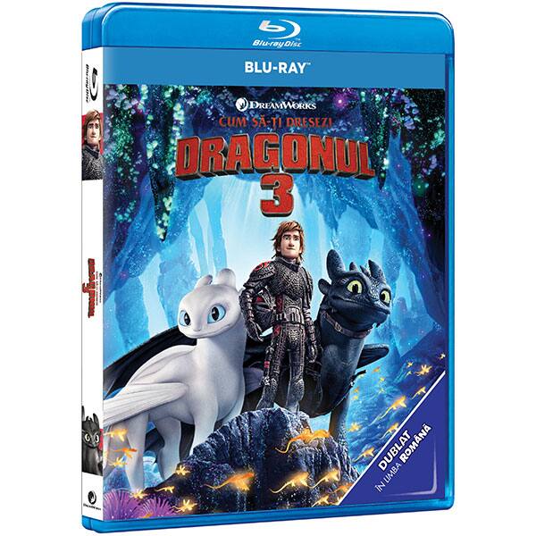 How To Train Your Dragon Homecoming 2019